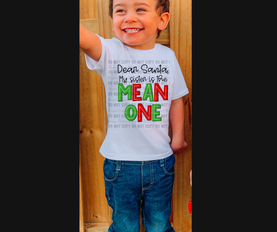 Youth-Dear Santa, My Sister/Brother is the Mean One Tee