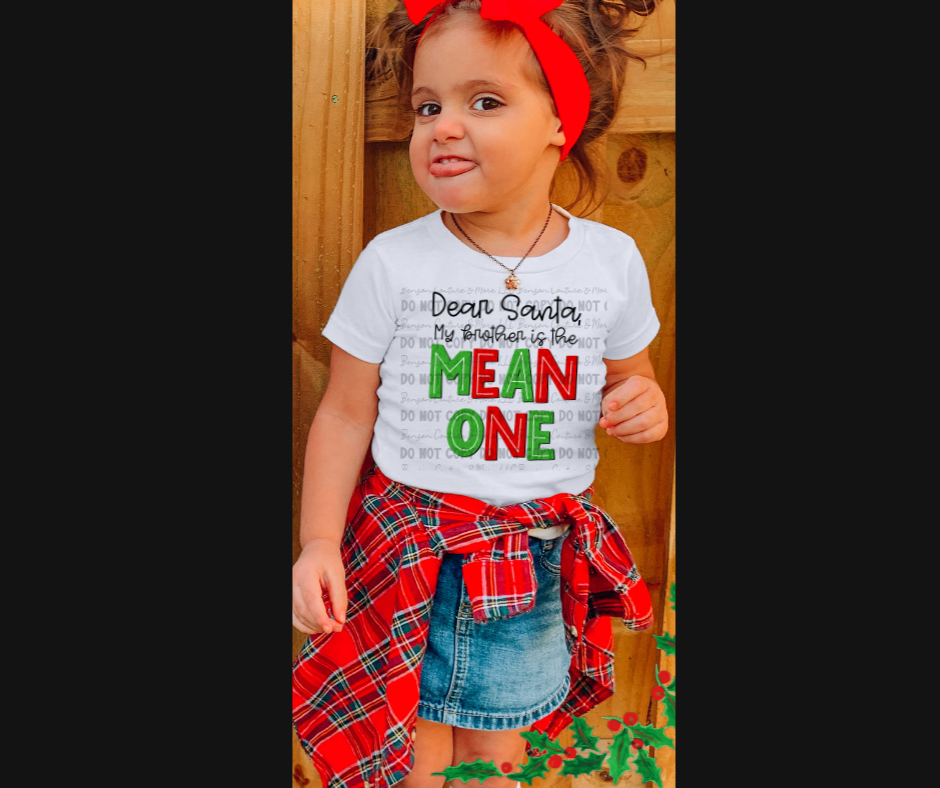 Youth-Dear Santa, My Sister/Brother is the Mean One Tee