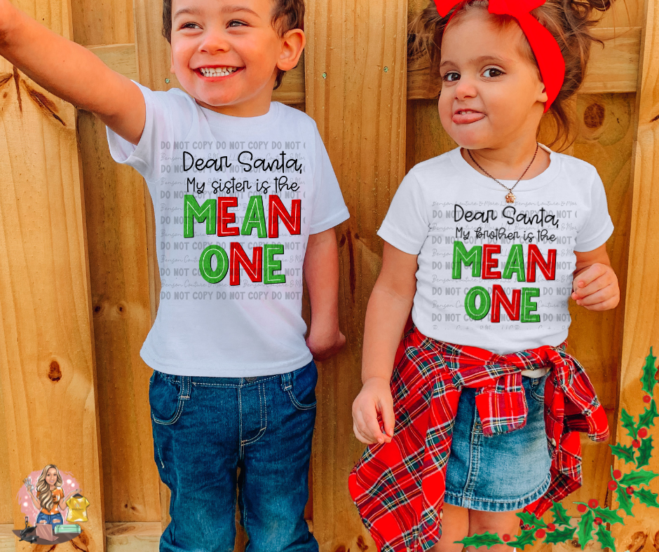Youth-Dear Santa, My Sister/Brother is the Mean One Tee